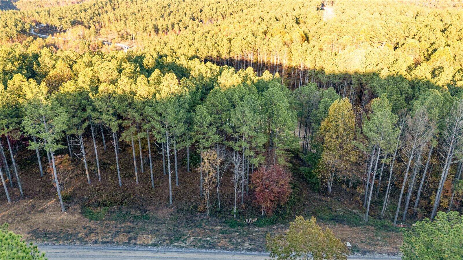 Guild, TN 37340,0 Split Rail WAY