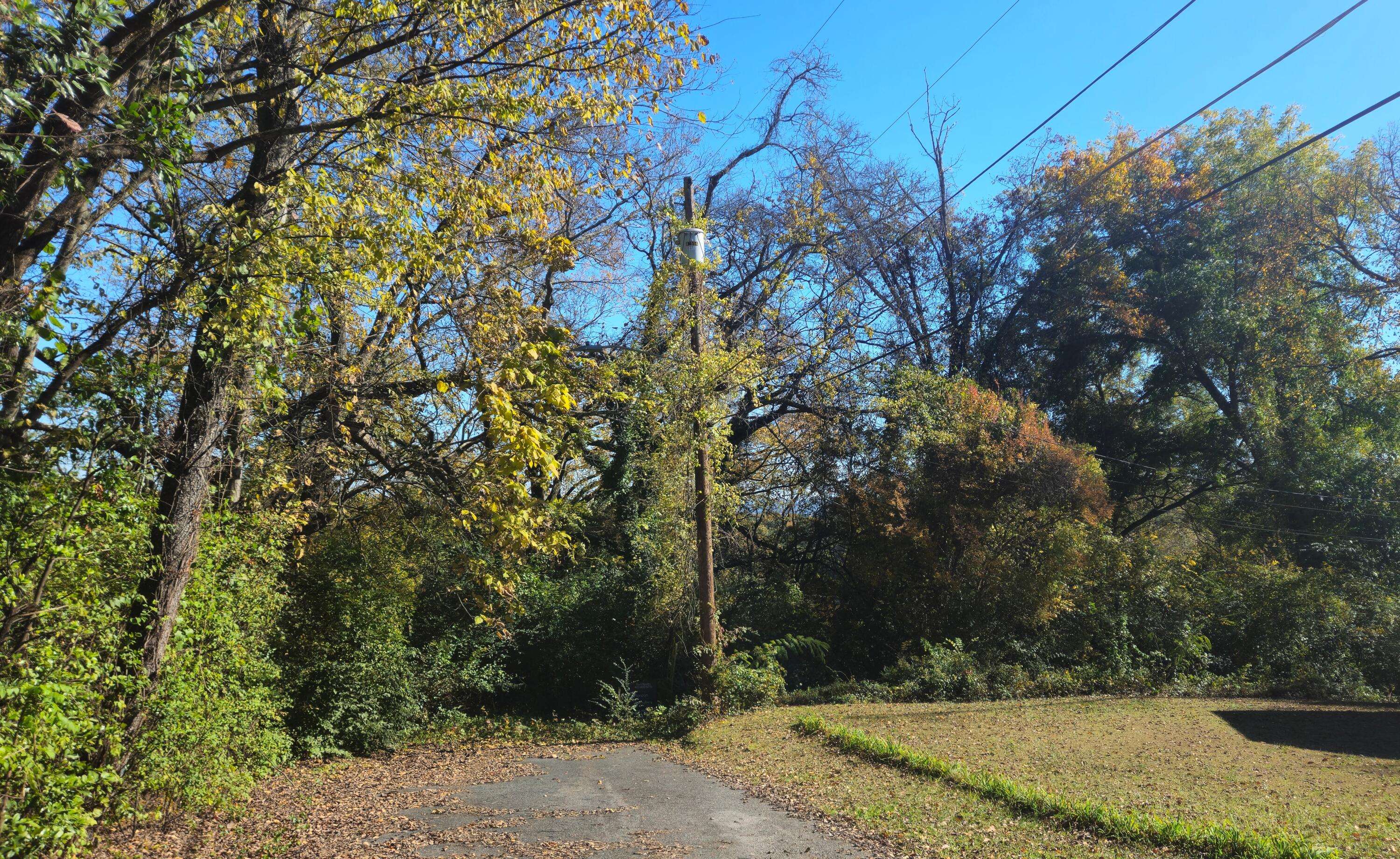 Chattanooga, TN 37404,3168 Chickalilly DR