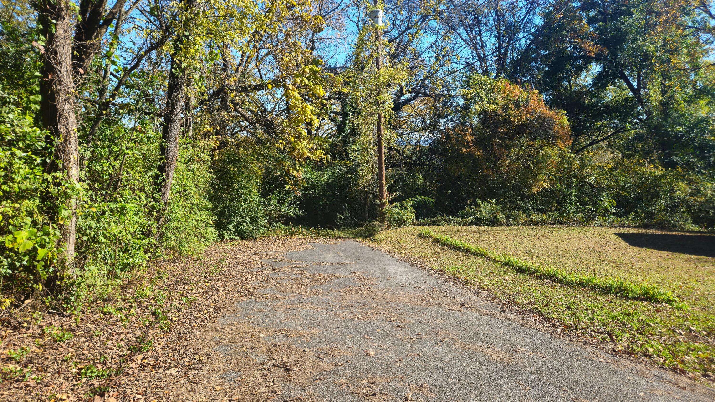 Chattanooga, TN 37404,3168 Chickalilly DR