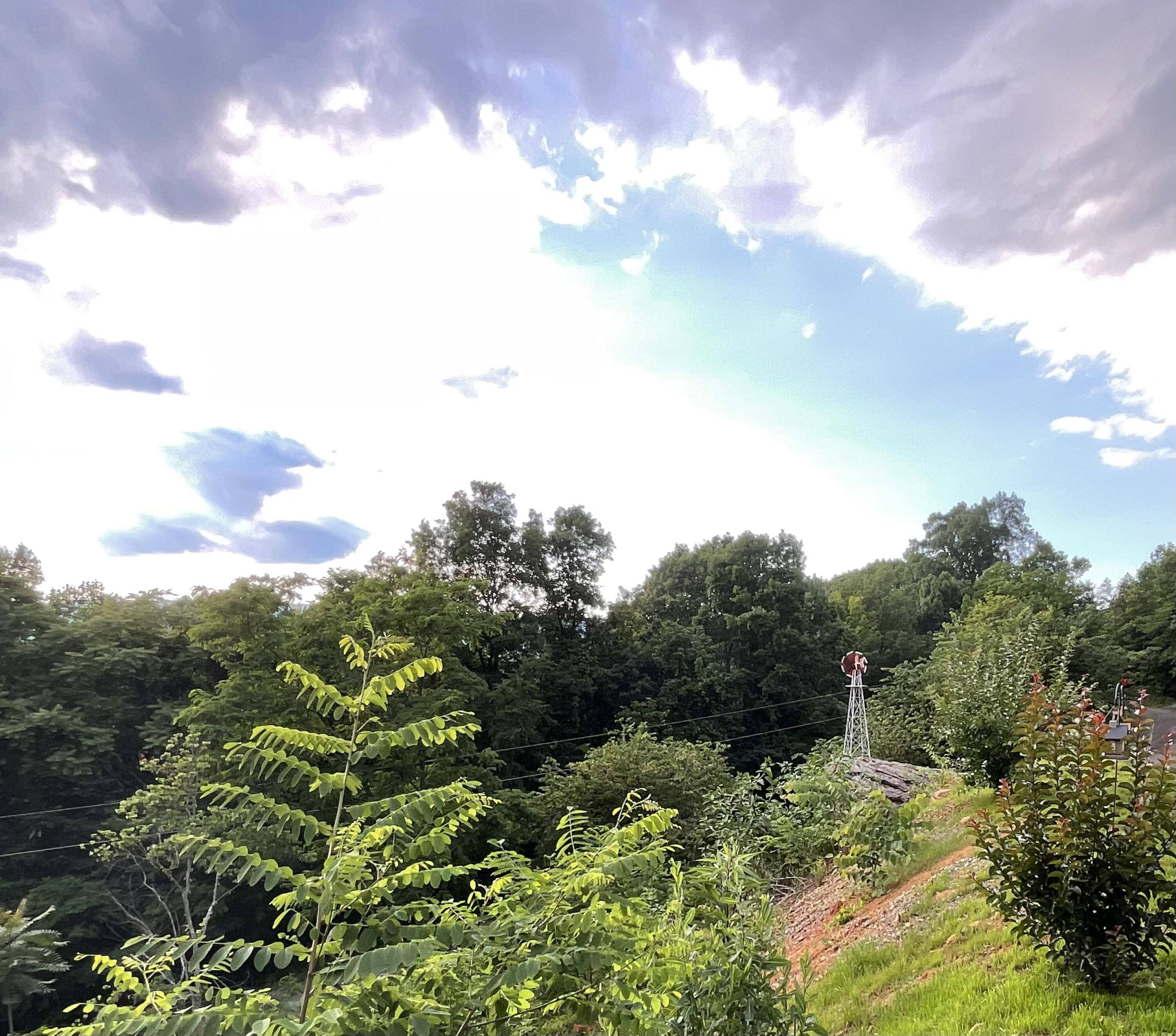 Whitwell, TN 37397,690 Ditch Gap RD