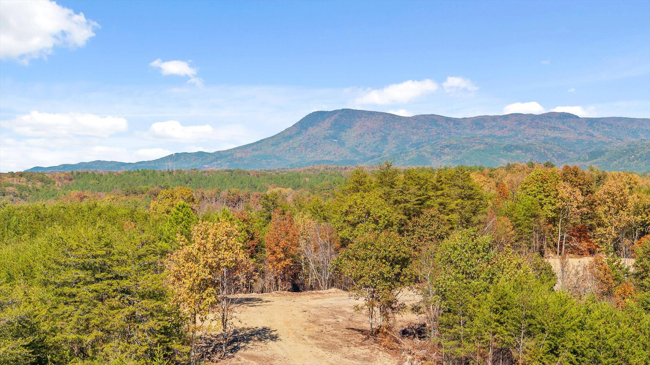 Chatsworth, GA 30705,Tract 92 Conniston RD