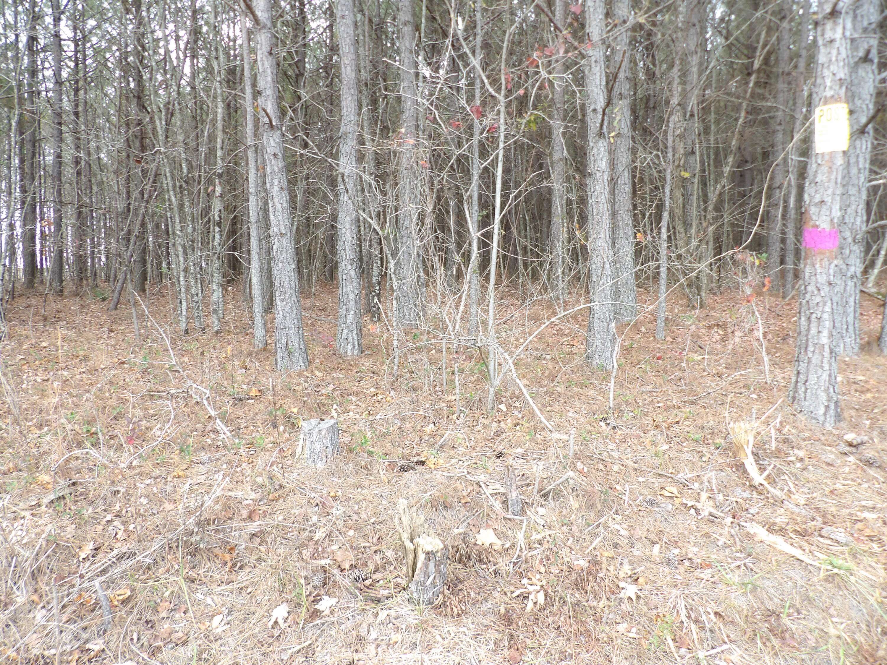Evensville, TN 37332,Lot 20 Summercity RD