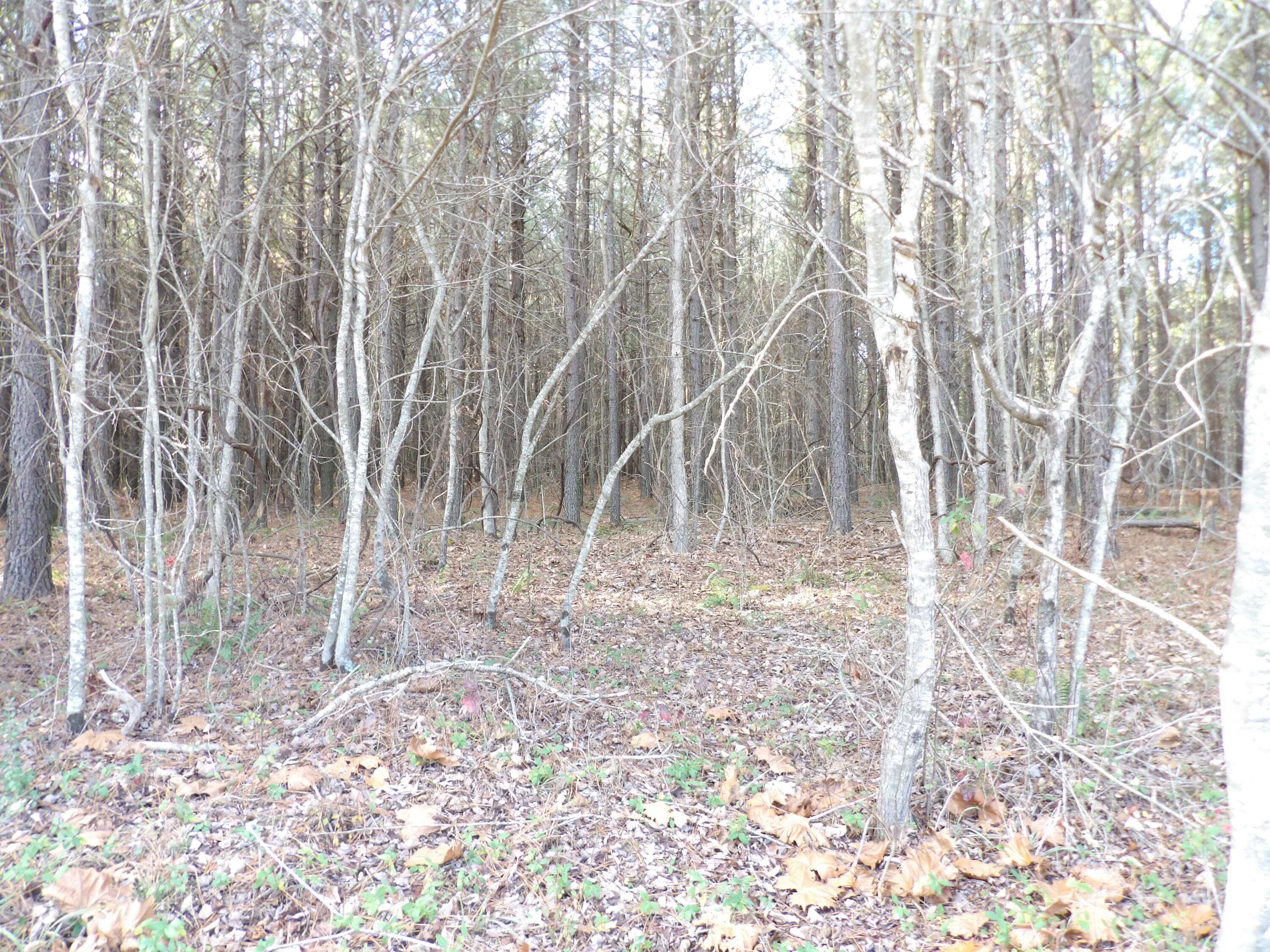 Evensville, TN 37332,Lot 22 Summercity RD