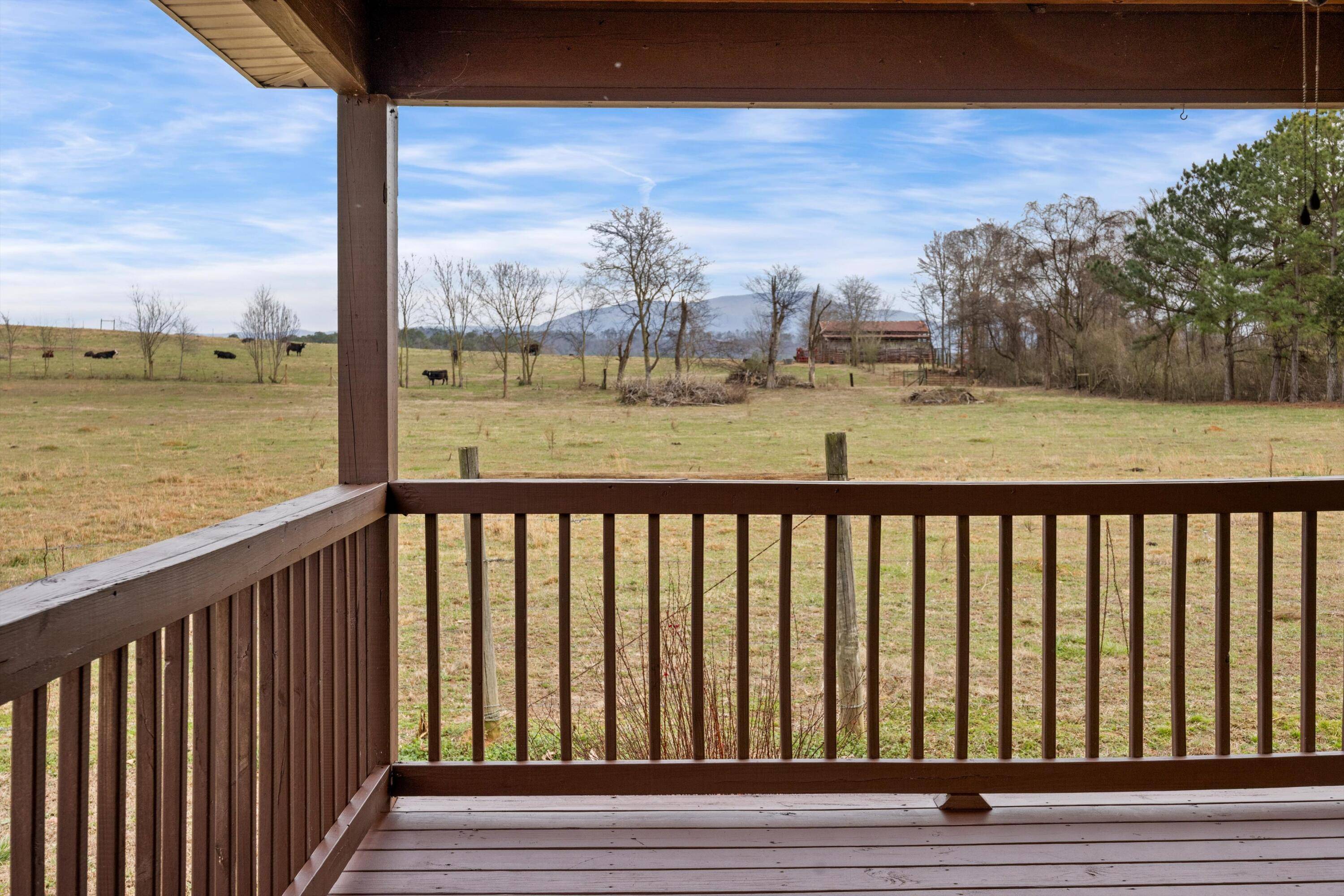 Chatsworth, GA 30705,2097 Mcentire CIR