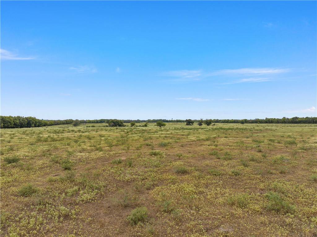 Kosse, TX 76653,TBD FM 339