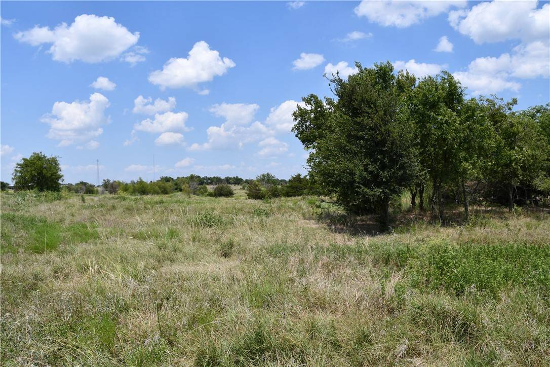 Mount Calm, TX 76673,Lot 8 HCR 3363