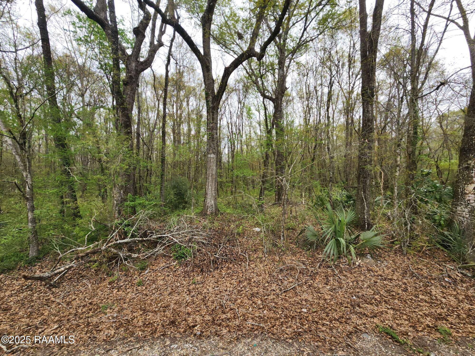 St. Martinville, LA 70582,1165 Bayou Portage RD