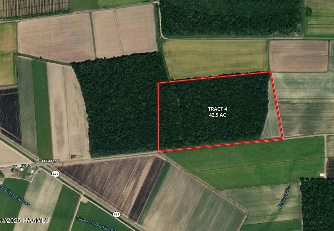 St. Martinville, LA 70582,1000 Grand Chemin RD
