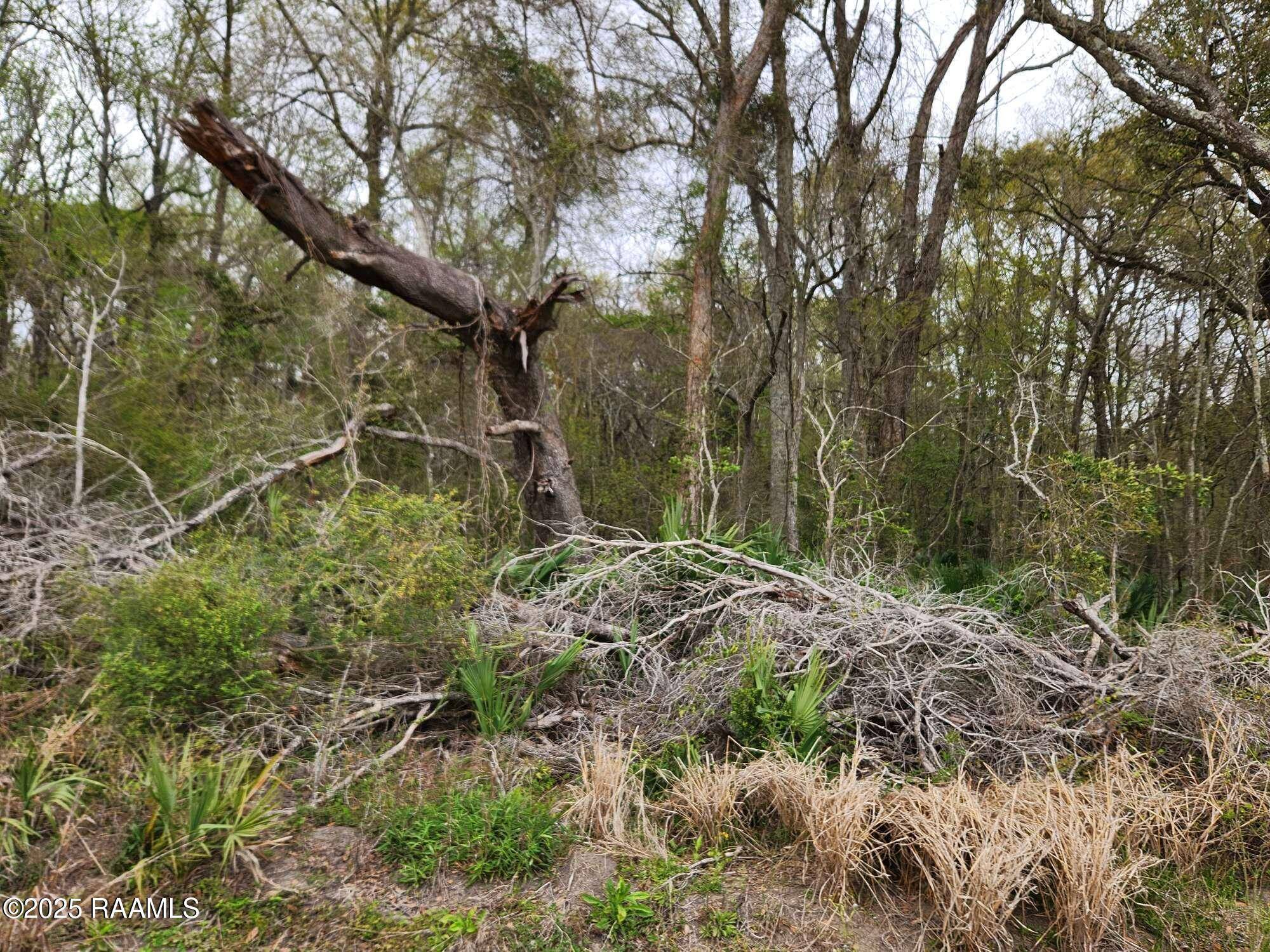 St. Martinville, LA 70582,1000 Grand Chemin RD