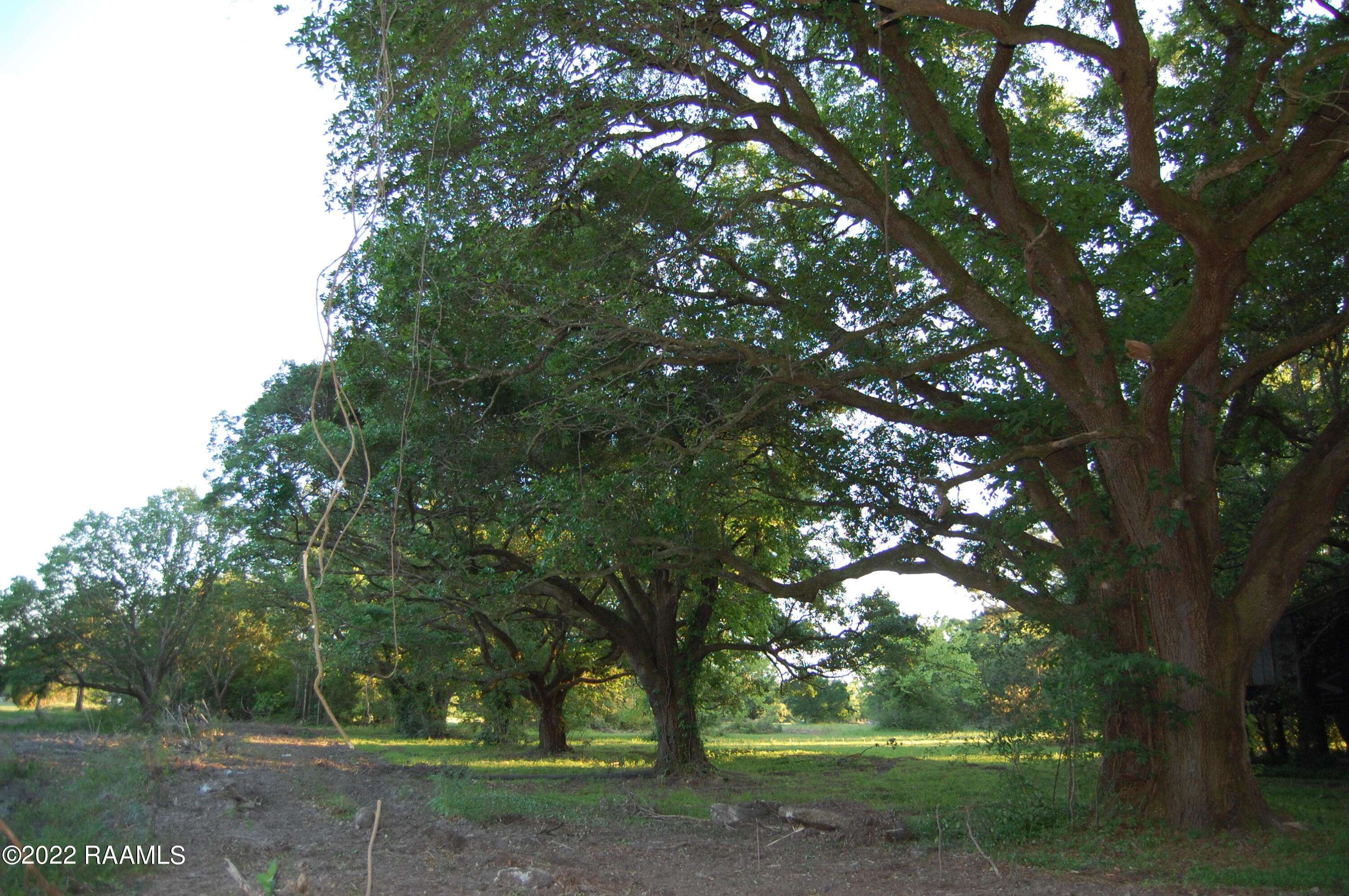 Youngsville, LA 70592,226 Grand Manor DR