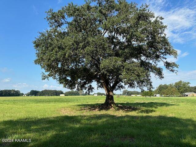 Abbeville, LA 70510,000 La Hwy 335