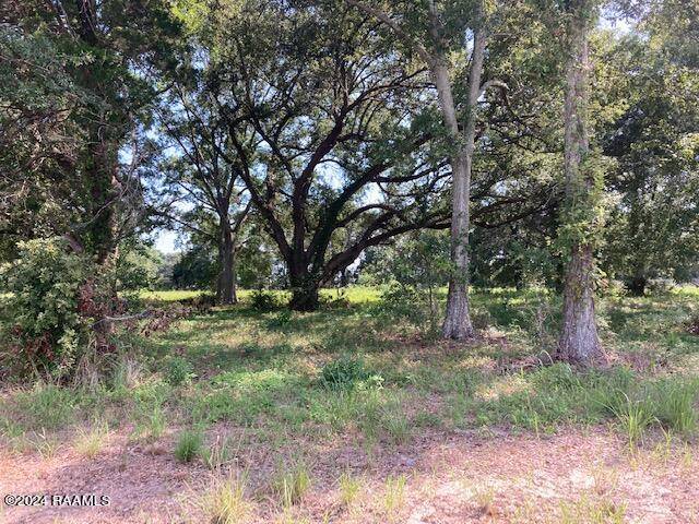 Eunice, LA 70535,2 Rena RD