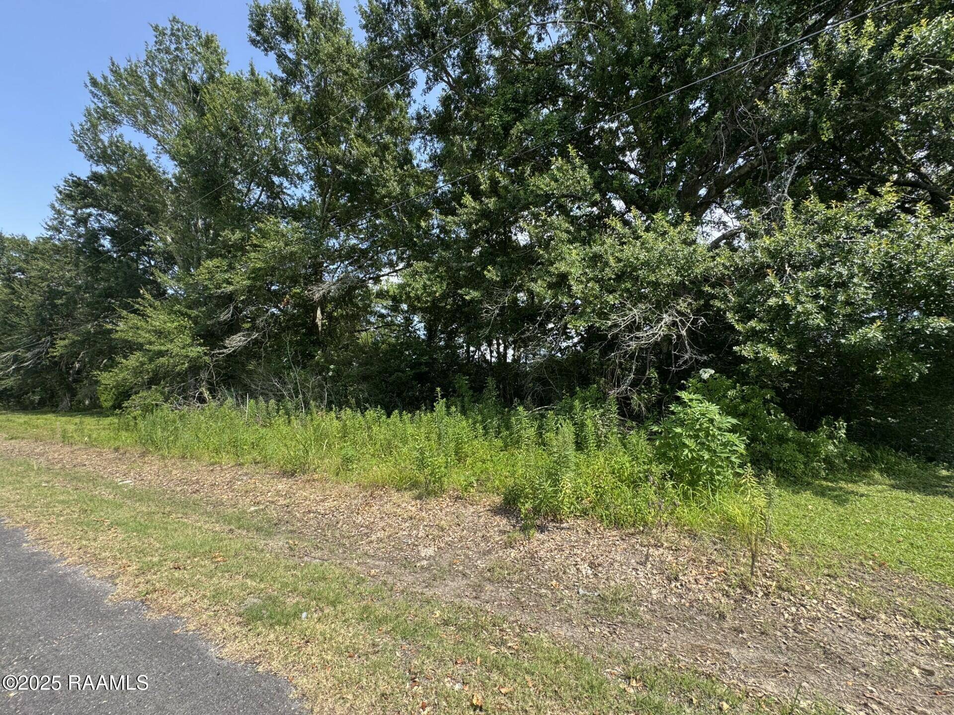 St. Martinville, LA 70582,Tbd Orphe RD #34 & 35