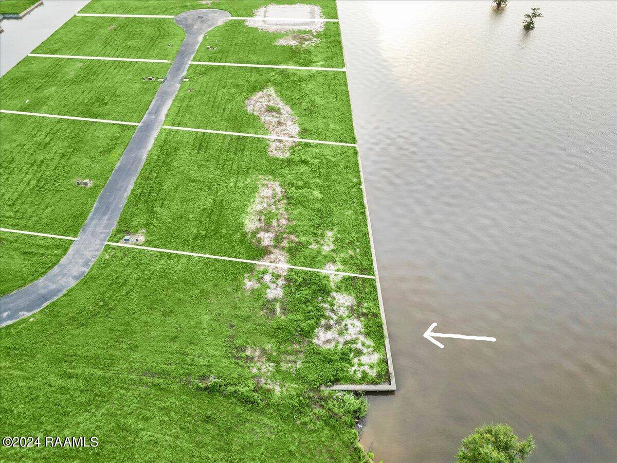 Gueydan, LA 70542,000 Canada Goose DR #6