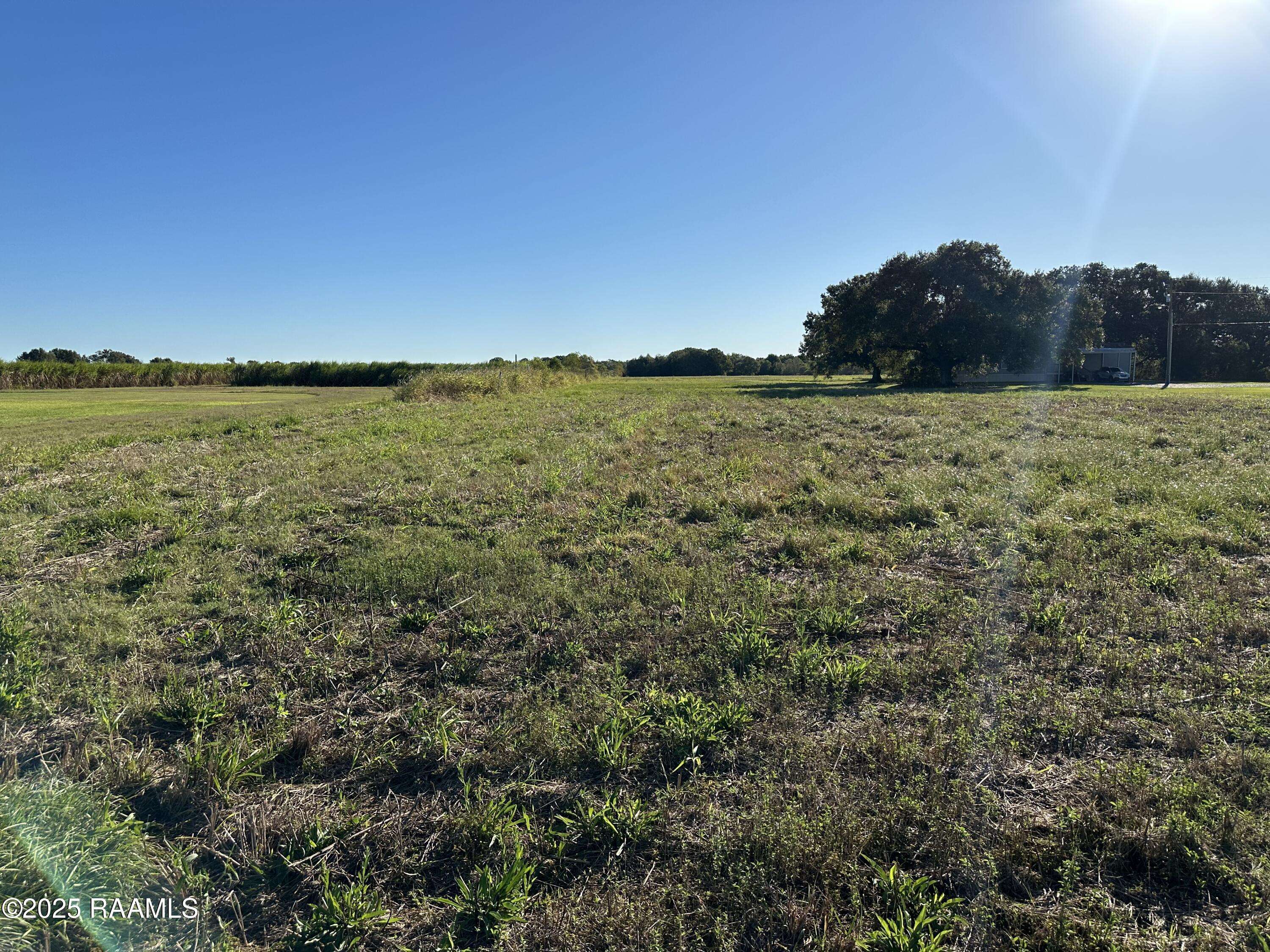 Erath, LA 70533,Tba North RD