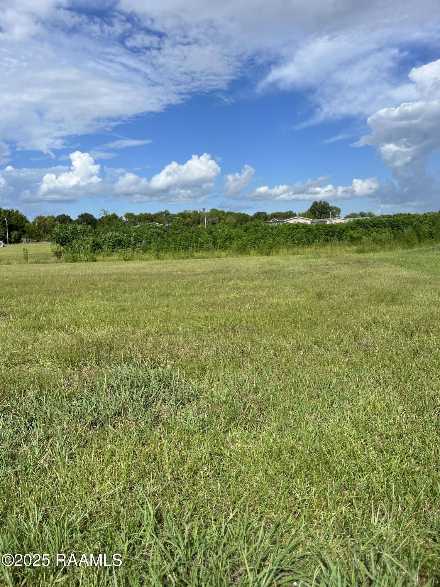 Lafayette, LA 70501,219 Laurelwood DR