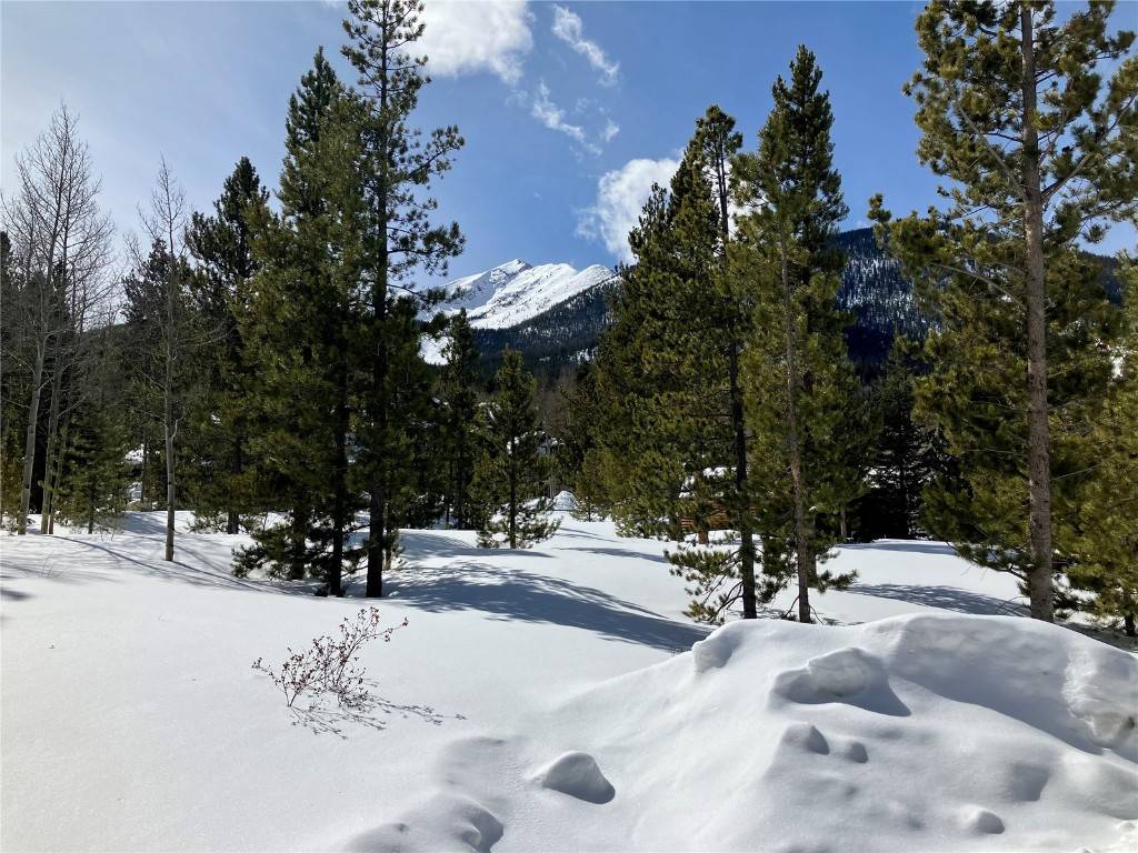 F R I S C O, CO 80443,19 Vierling WAY