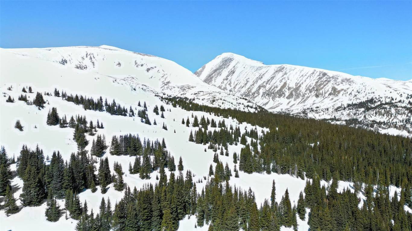 Breckenridge, CO 80424,23 Camron LN