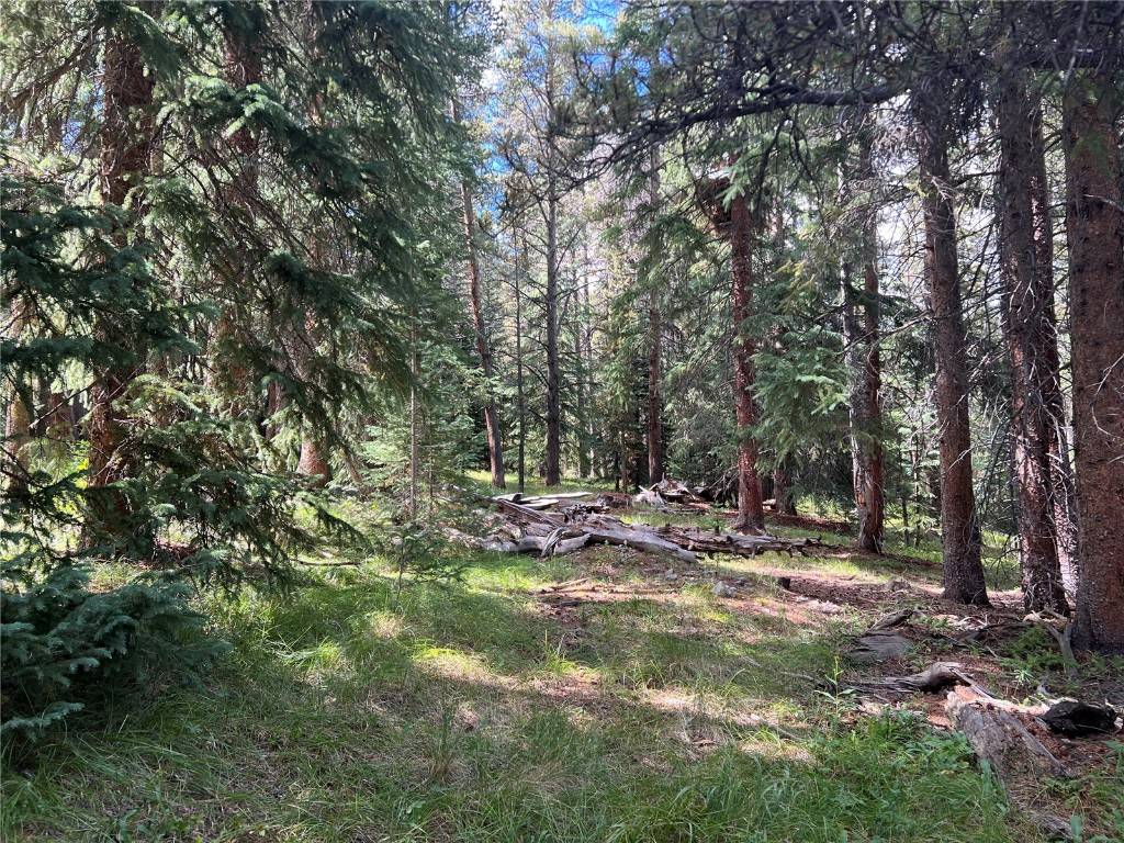 Blue  River, CO 80424,26 Blue Grouse TRL