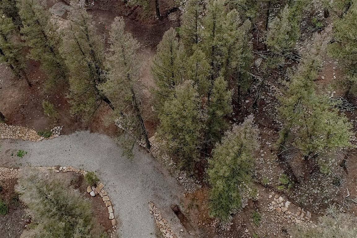 Fairplay, CO 80440,225 Trout Creek RD