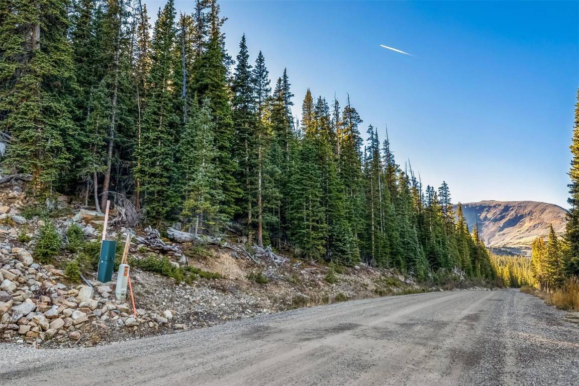 Breckenridge, CO 80424,571 Kimmes LN
