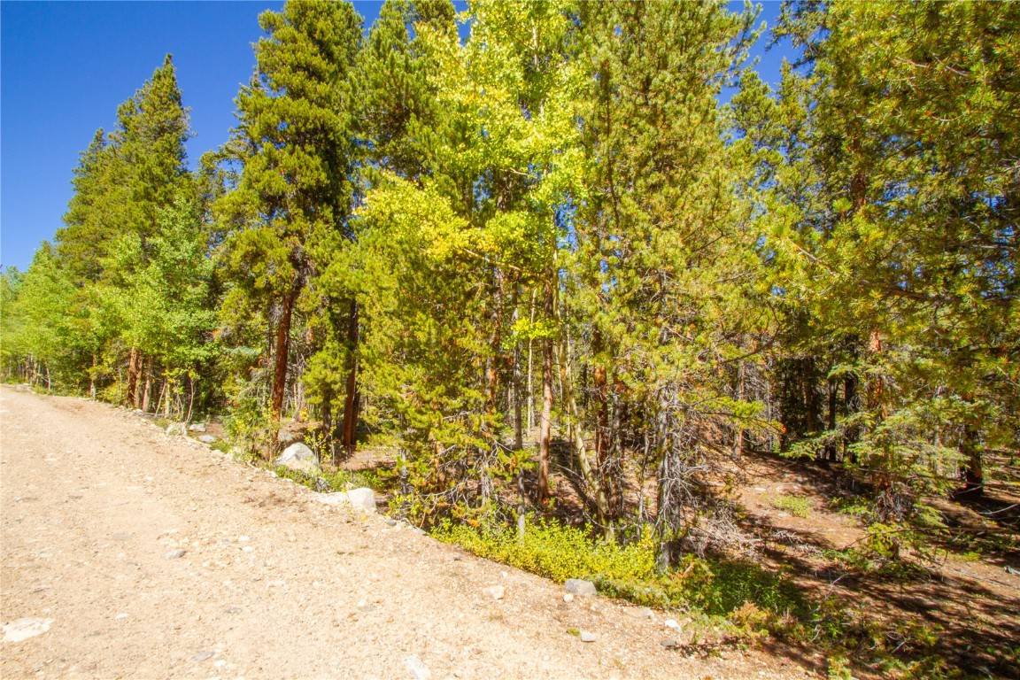 Alma, CO 80420,154 Georges Way