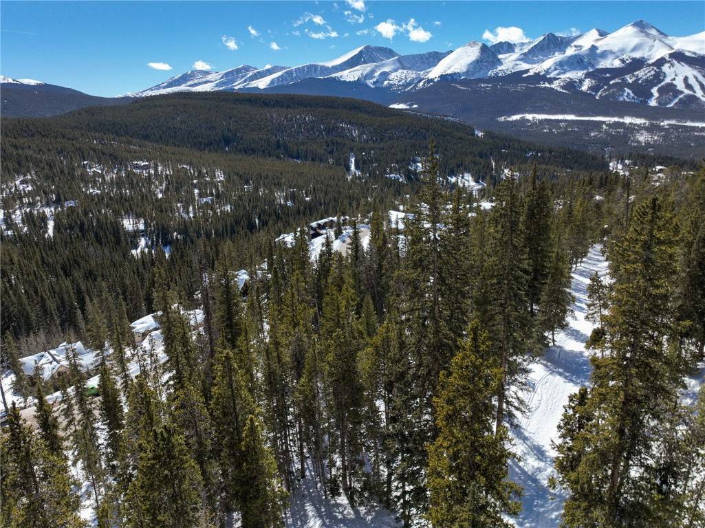 Breckenridge, CO 80424,217 Goldenview DR