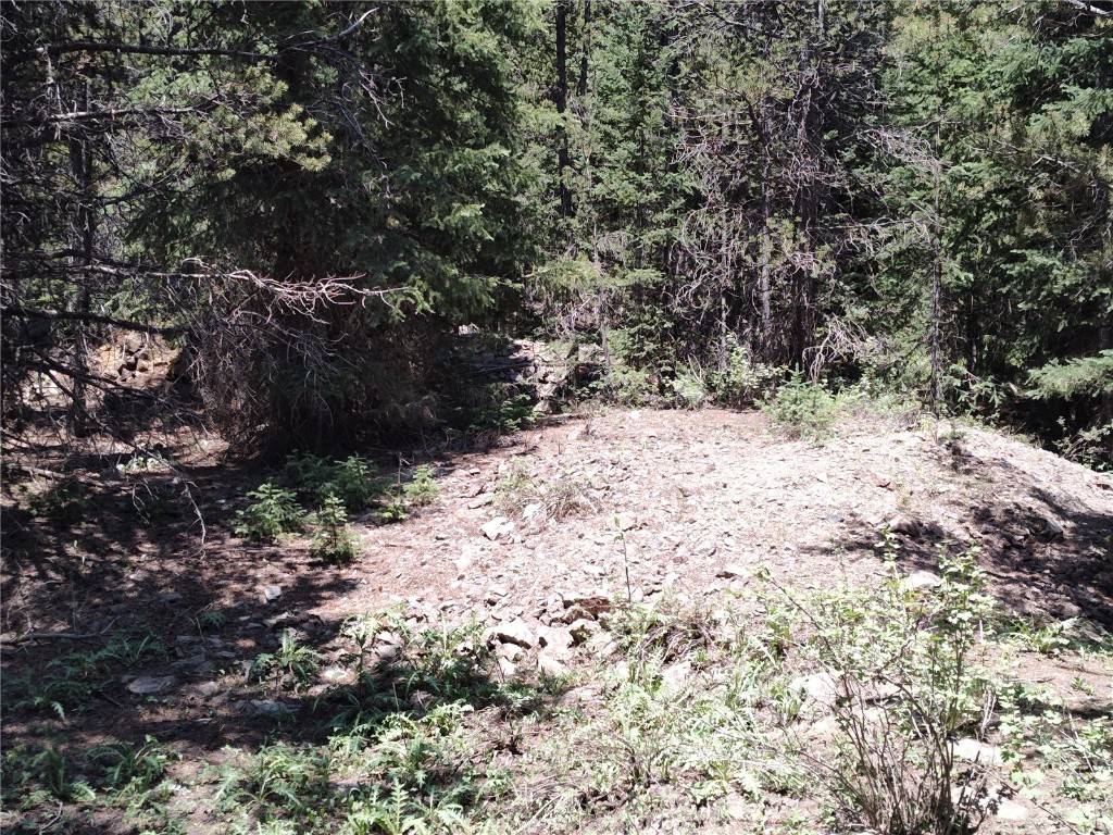 Alma, CO 80420,0 County Road 8