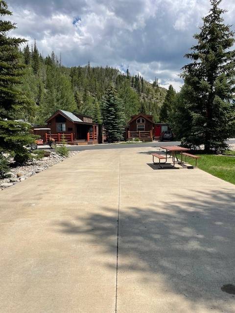 Breckenridge, CO 80424,85 Revett Drive #252