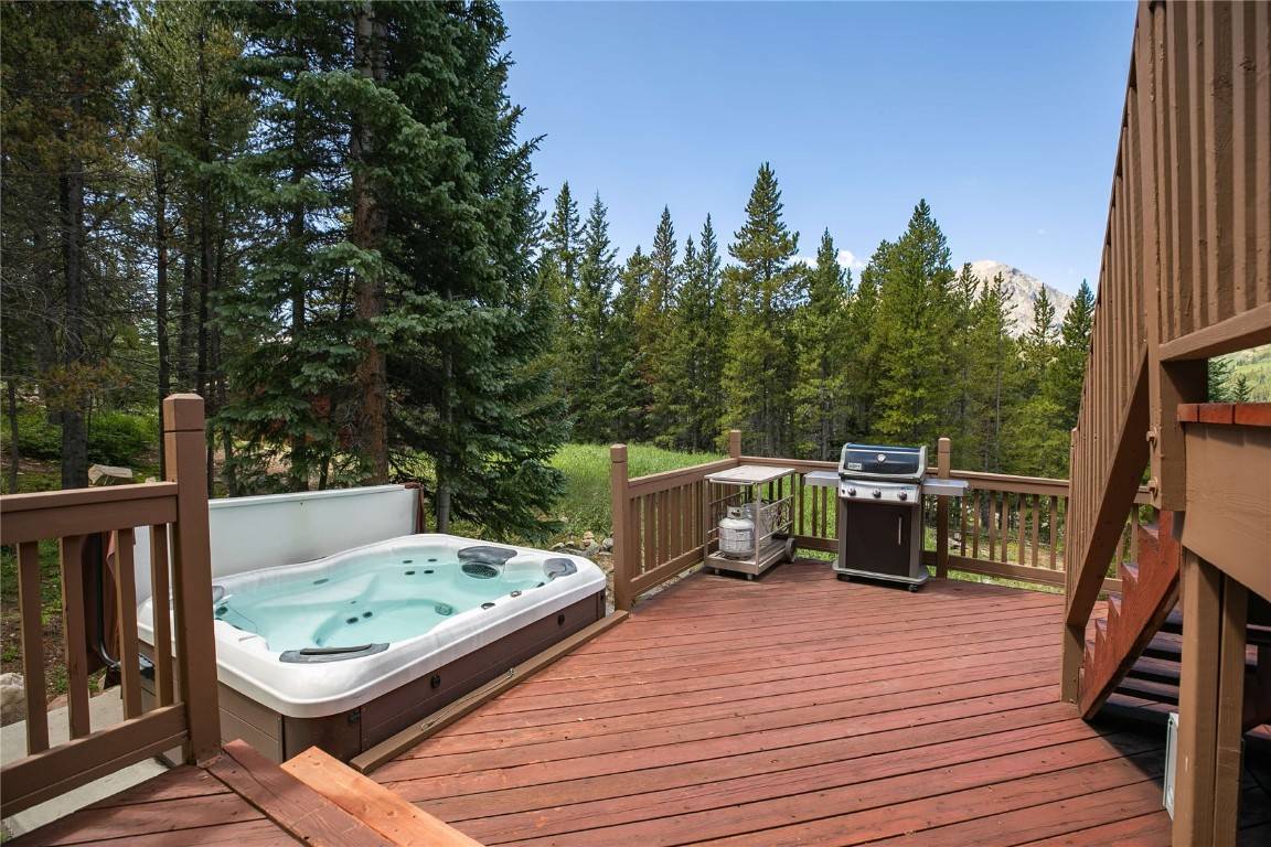 Breckenridge, CO 80424,458 County Road 628