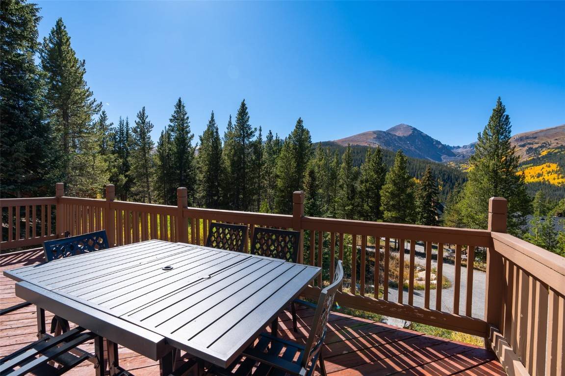 Breckenridge, CO 80424,458 County Road 628
