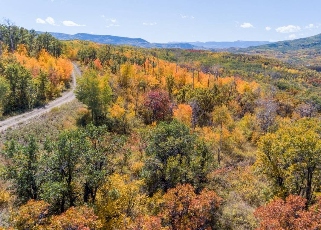 Steamboat  Springs, CO 80487,27185 Sundance TRL