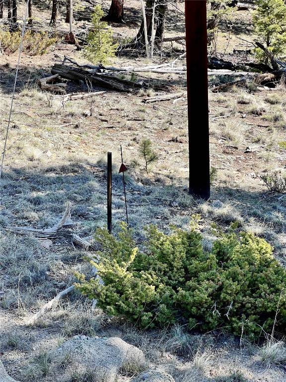 Hartsel, CO 80449,1439 Bellows RD