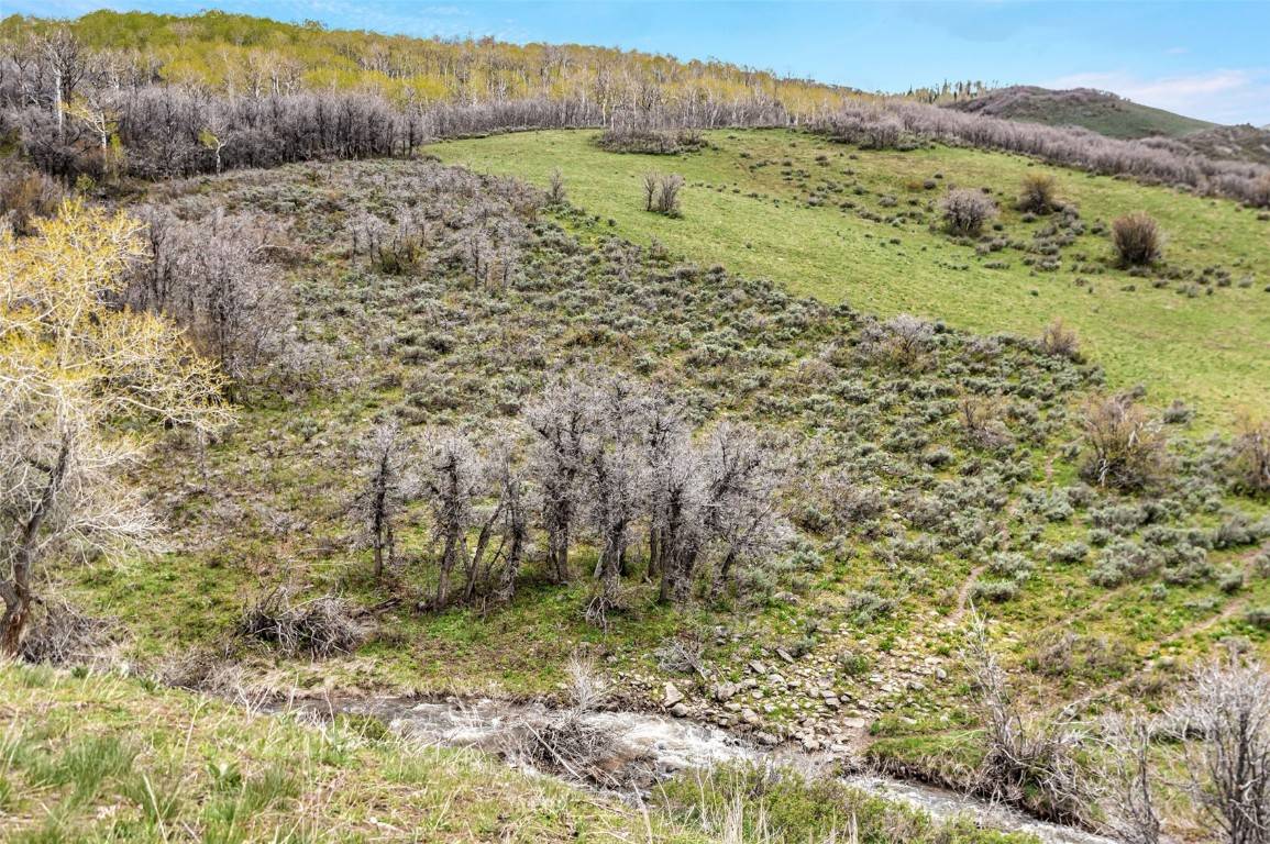 Hayden, CO 81639,TBD County Road 80