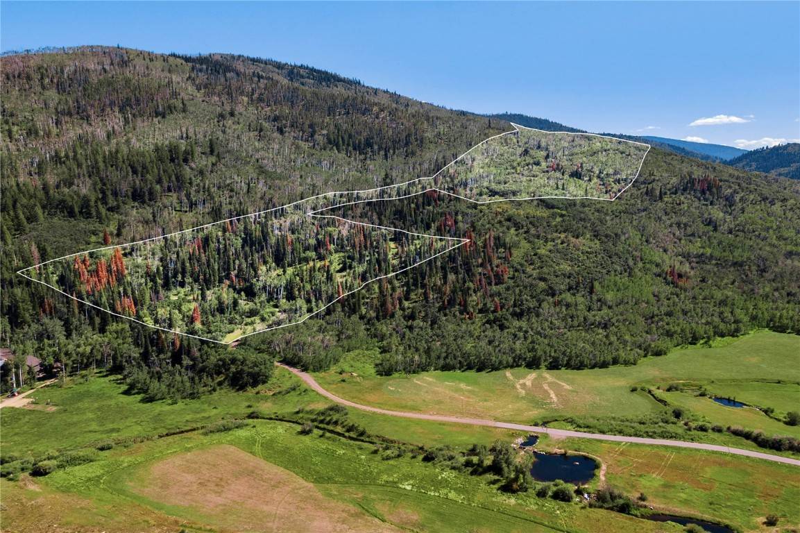 Steamboat  Springs, CO 80487,33400 Painted Pony LN