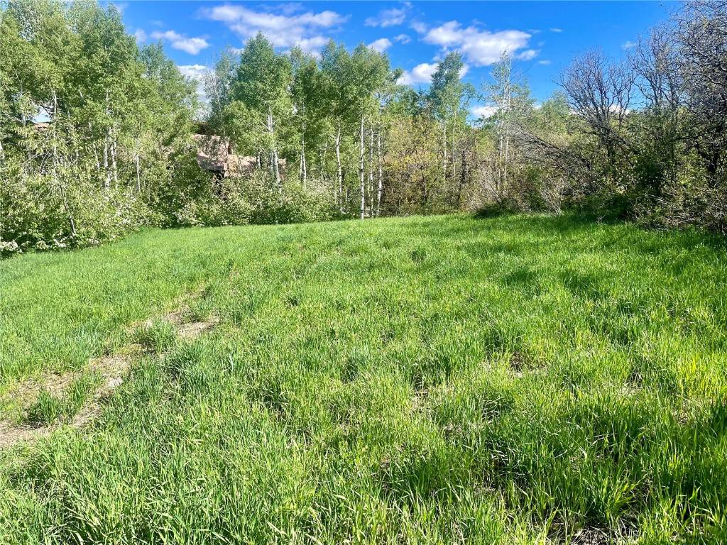 Steamboat  Springs, CO 80487,225 Boulder Ridge RD