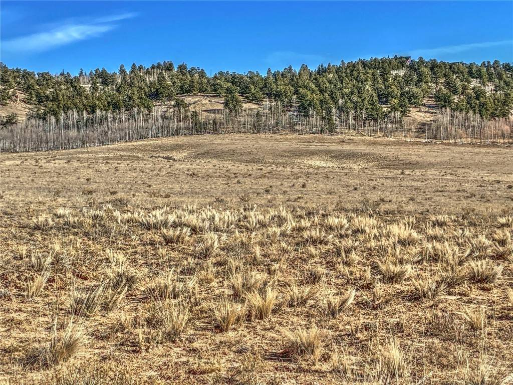 C O M O, CO 80432,00 County Road 15