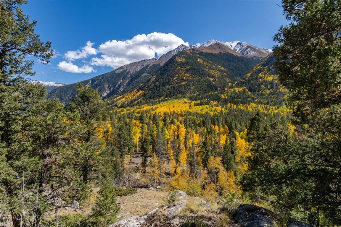 Twin  Lakes, CO 81251,10575 Co-82