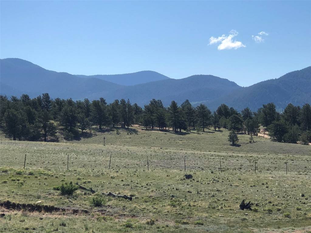 Hartsel, CO 80449,1983 Arapahoe RD