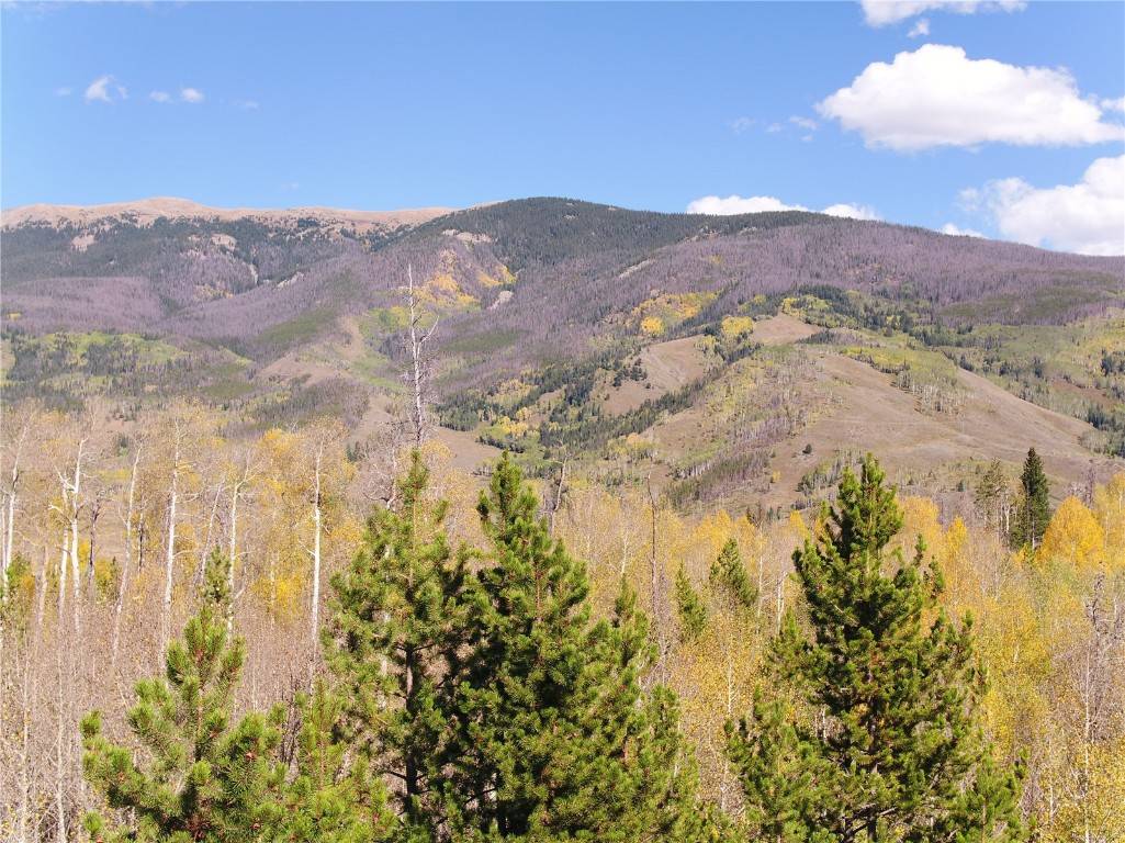 Silverthorne, CO 80498,TBD Whetstone Drive #4