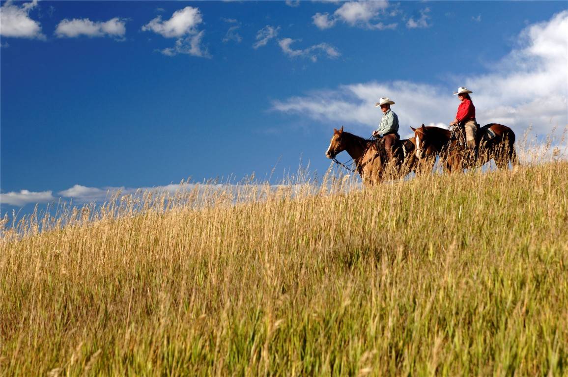 Steamboat  Springs, CO 80487,27150 Cowboy Up RD