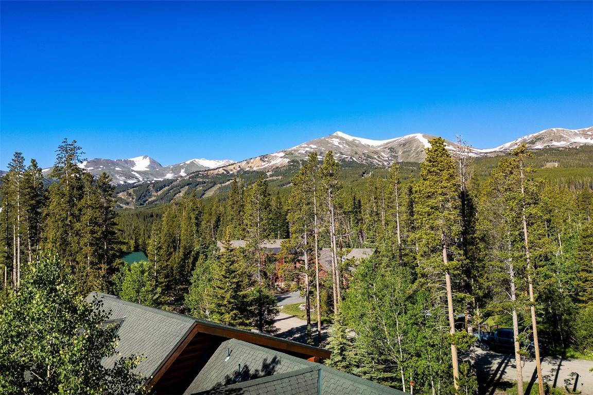 Breckenridge, CO 80424,60 Pine CIR