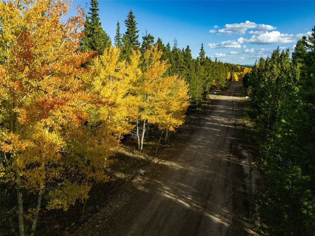 Fairplay, CO 80440,250 Ski Doo RD