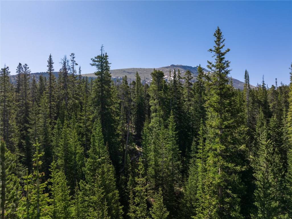 Breckenridge, CO 80424,Homestead 21 Cumberland DR
