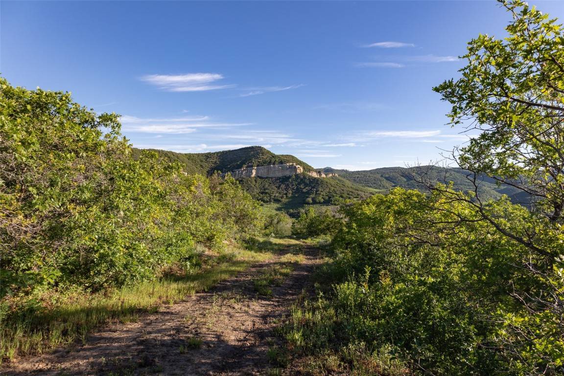 Steamboat  Springs, CO 80487,TBD Grouse Ridge