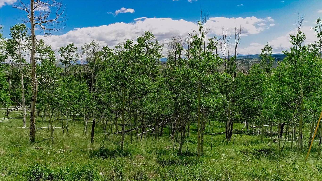 Fairplay, CO 80440,1047 Lumberjack RD
