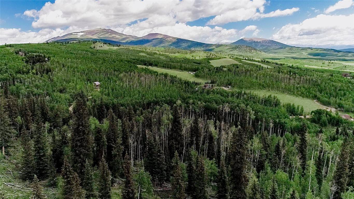 Fairplay, CO 80440,1047 Lumberjack RD