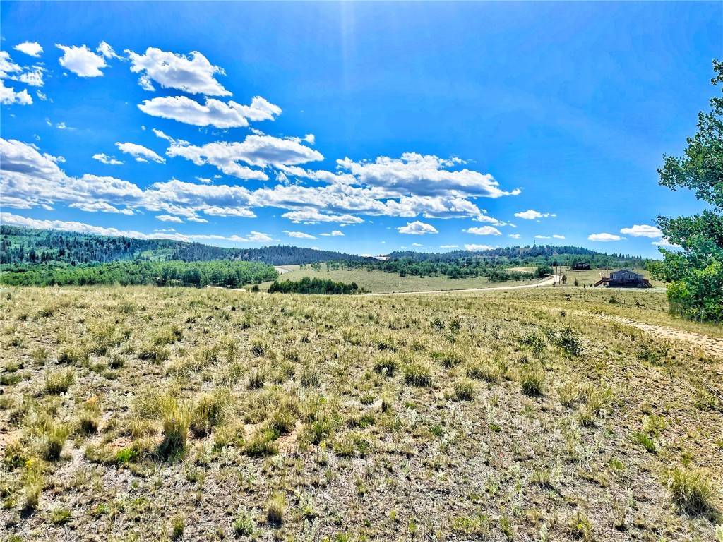 C O M O, CO 80432,24 Pelican PL