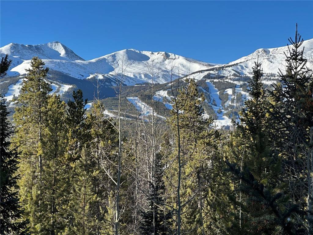 Breckenridge, CO 80424,112 SCR 452