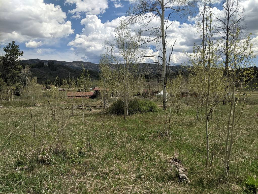 Oak  Creek, CO 80467,32423 Ute TRL